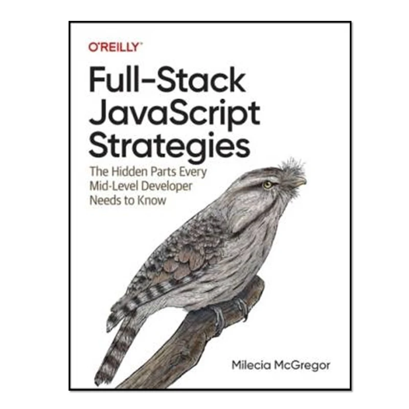 کتاب Full Stack JavaScript Strategies اثر Milecia McGregor انتشارات آوای مؤلف