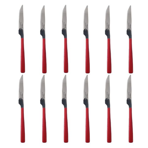 کارد میوه خوری وینکس مدل w بسته 12 عددی