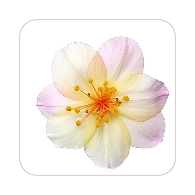 زیر لیوانی کاکتی طرح گل مدل mp17540