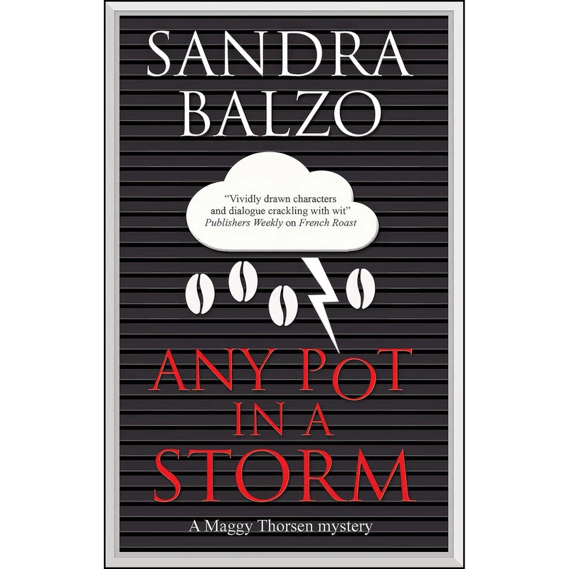 کتاب Any Pot in a Storm  اثر Sandra Balzo انتشارات Severn House