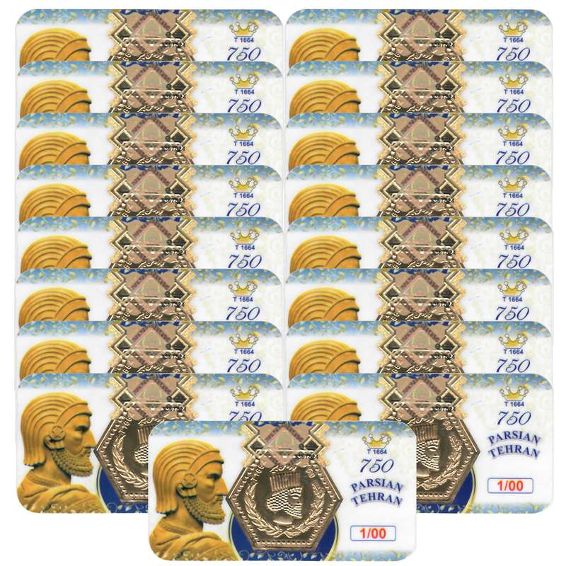 سکه گرمی 18 عیار پارسیان مدل 4030 مجموعه 17 عددی
