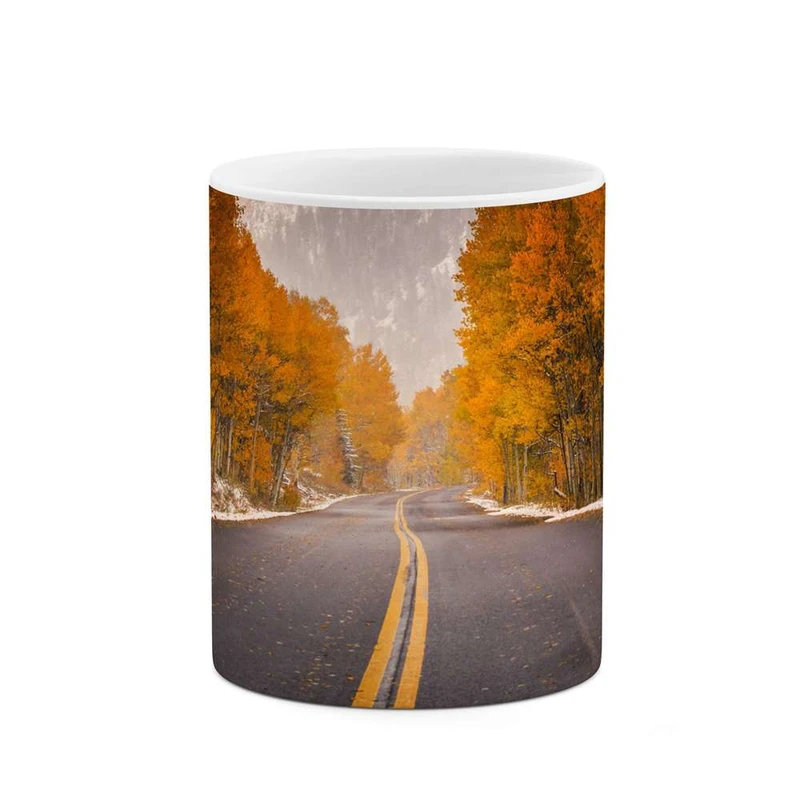 ماگ کاکتی مدل جاده جنگلی کد mgh11294