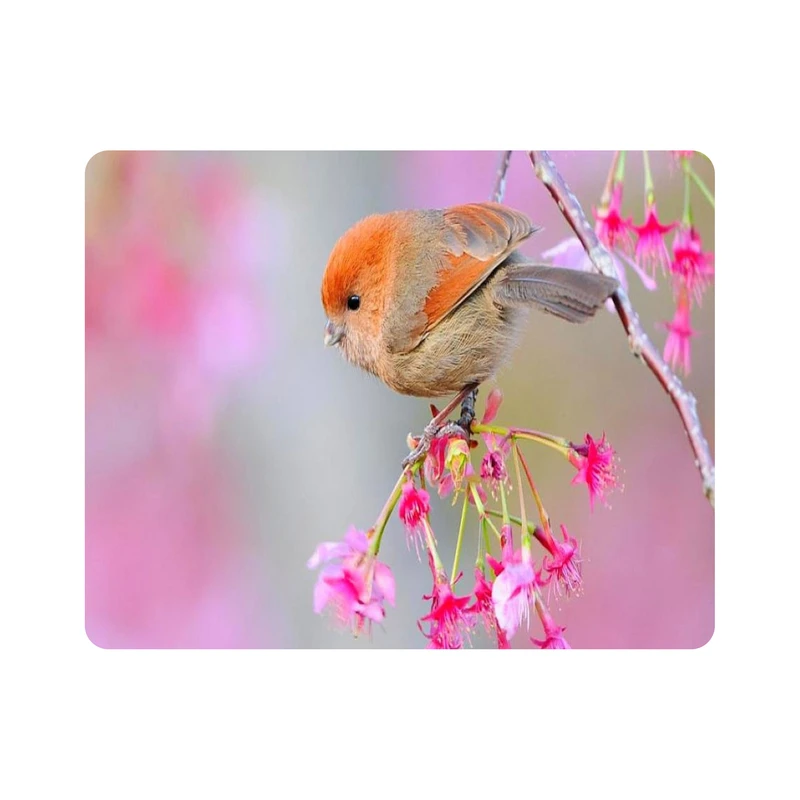 ماوس پد طرح پرنده و گل مدل T8086