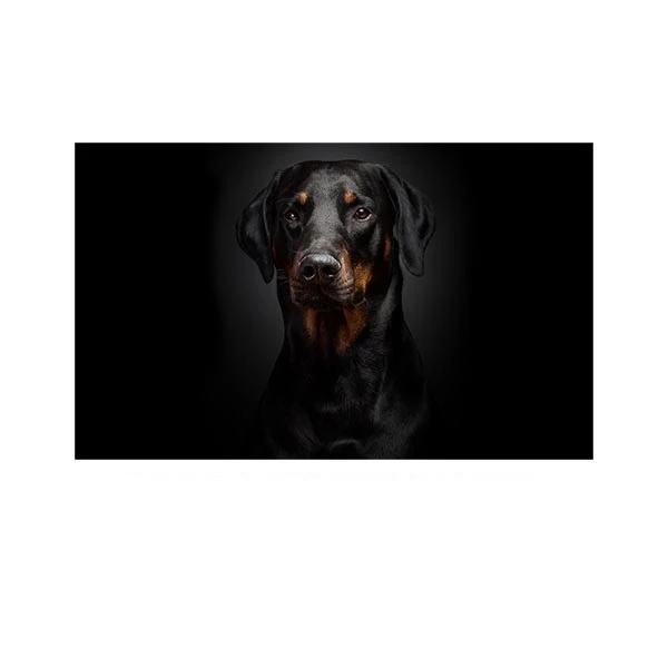   پادری مدل حیوانات کد HSHMA0093 سایز 76x46 سانتی متر