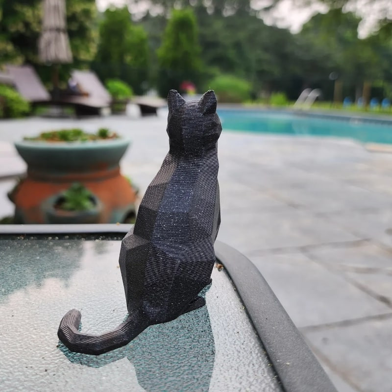 فیگور مدل گربه