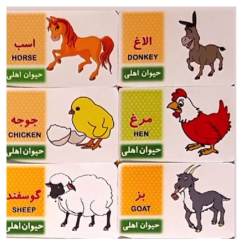 بازی آموزشی حیوانات مدل حیوانات اهلی کد BA18 مجموعه 17 عددی