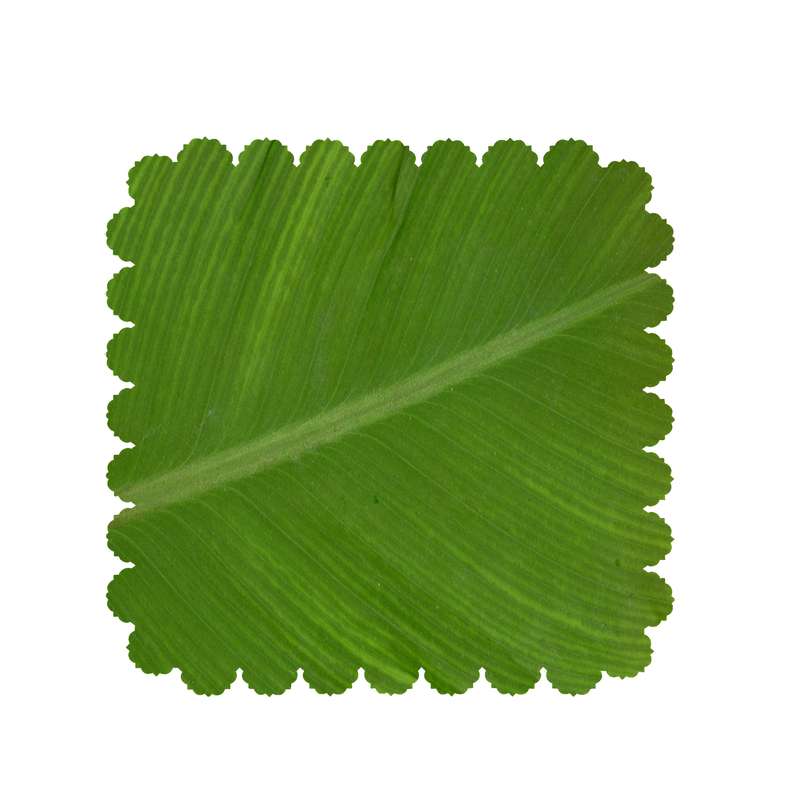  رومیزی طرح برگ کد 8003B