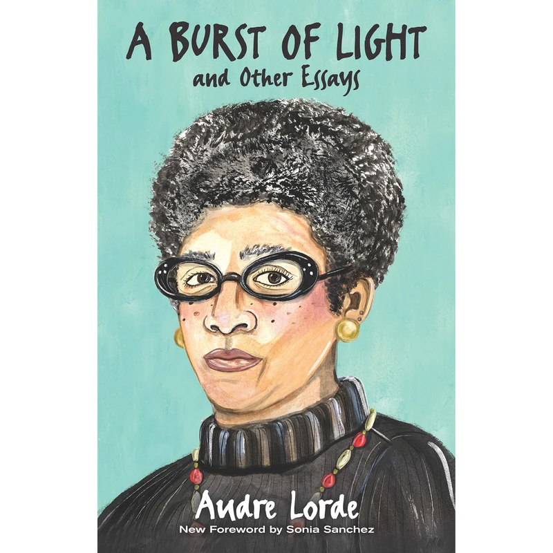 کتاب A Burst of Light اثر جمعی از نویسندگان انتشارات INscribe Digital