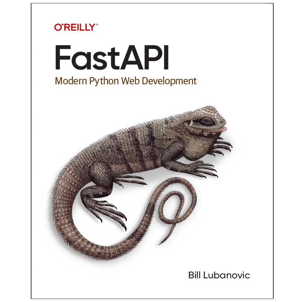 قیمت و خرید کتاب FastAPI Modern Python Web Development اثر Bill ...