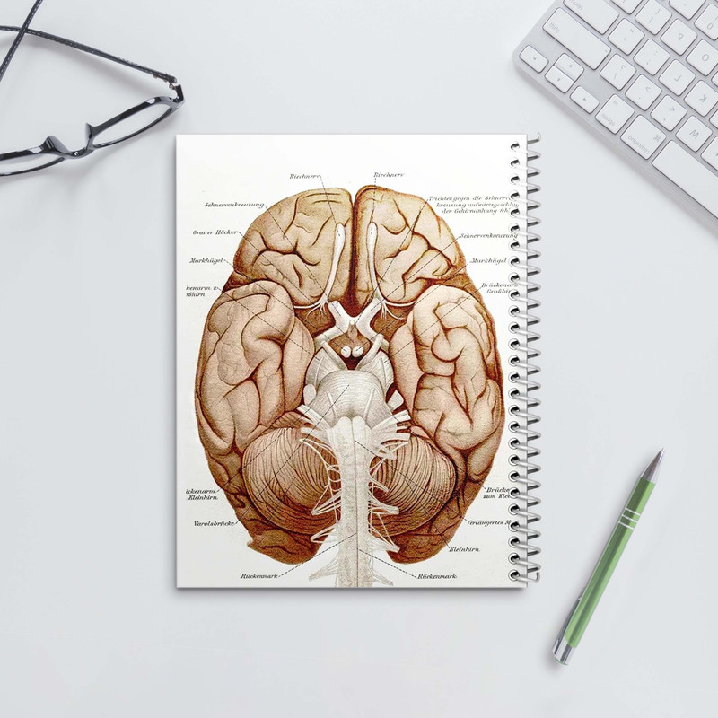 دفتر شطرنجی 100 برگ مدل آناتومی مغز کد 1