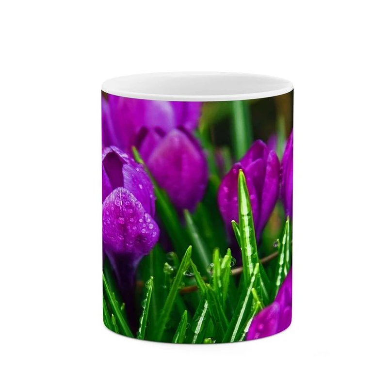 ماگ کاکتی مدل گل کد mgh10775