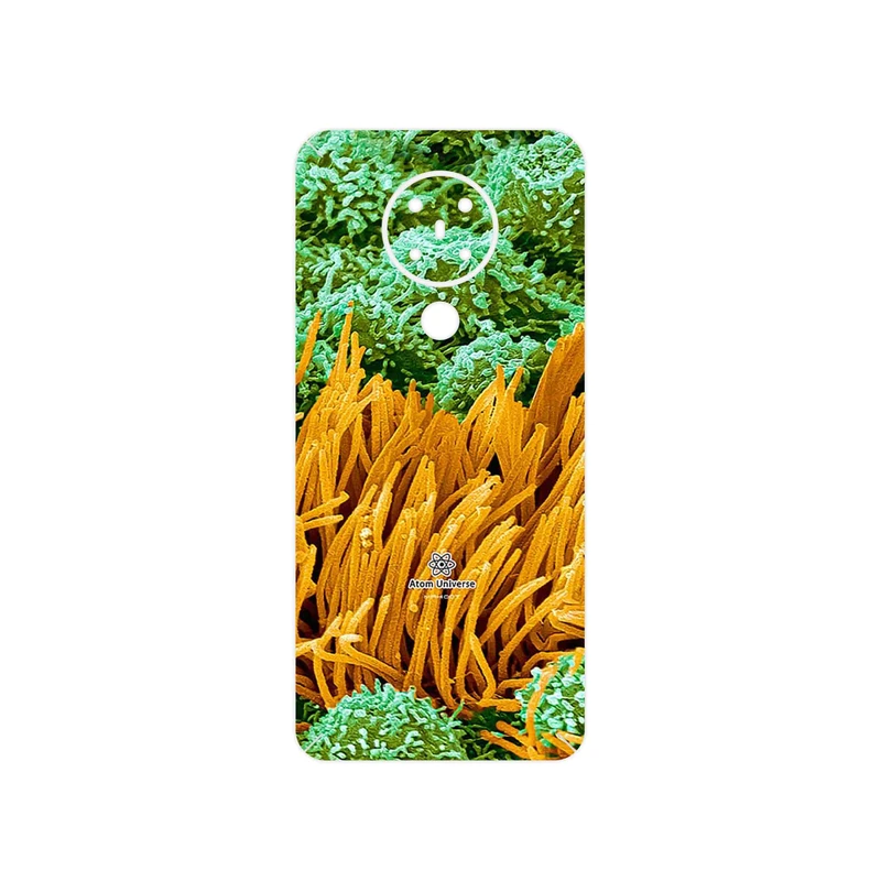برچسب پوششی ماهوت مدل Atom Universe 6 مناسب برای گوشی موبایل نوکیا 5.3