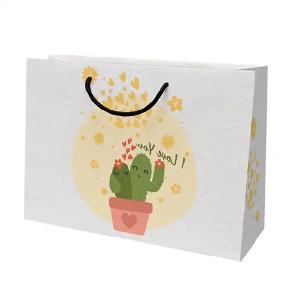 ساک هدیه مدل 10224 بسته 12 عددی