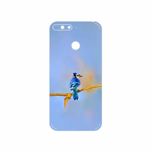 MAHOOT Cyanocitta cristata Cover Sticker for Huawei Y6 Prime 2018
