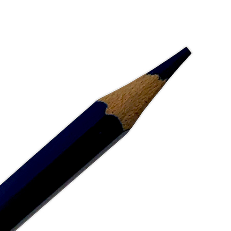 مداد رنگی 12 رنگ الیگیتور مدل فلزی سوسمار کد 12