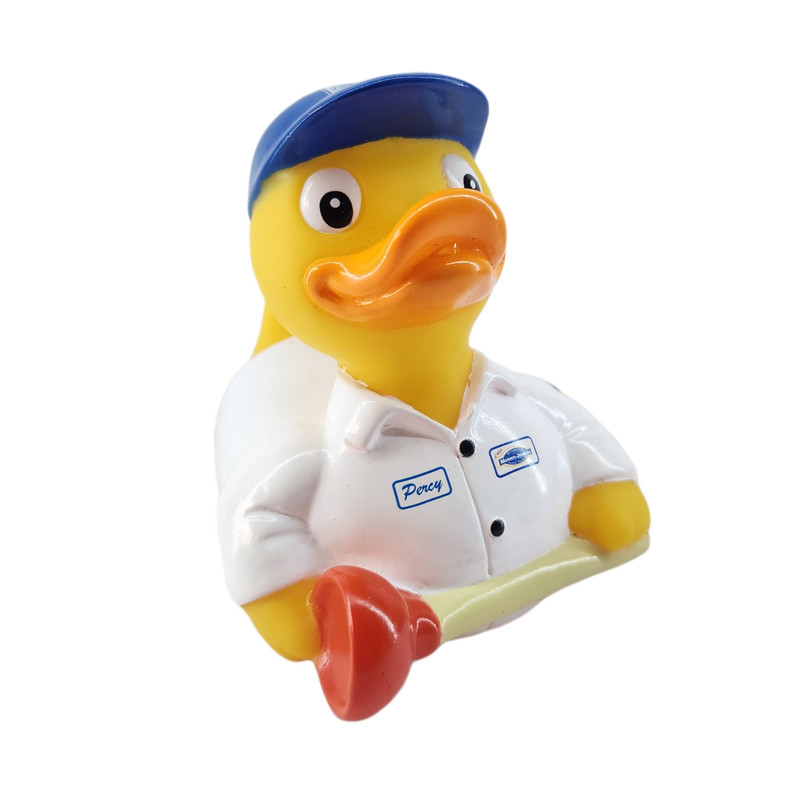 فیگور مدل اردک نگهبان شناور روی اب
