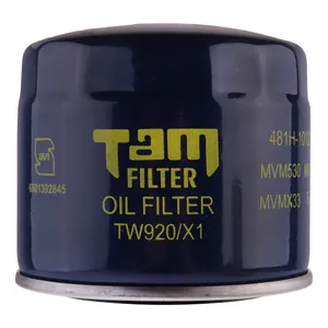 فیلتر روغن  تام مدل 481H-1012010 مناسب برای ام وی ام X33S- X33