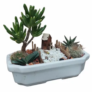 گیاهان طبیعی دیشگاردن مدل 04