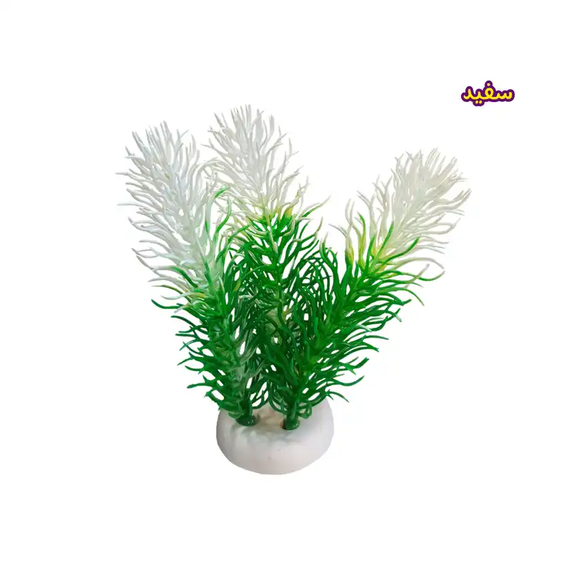 گیاه تزیینی آکواریوم مدل شیویدی q2