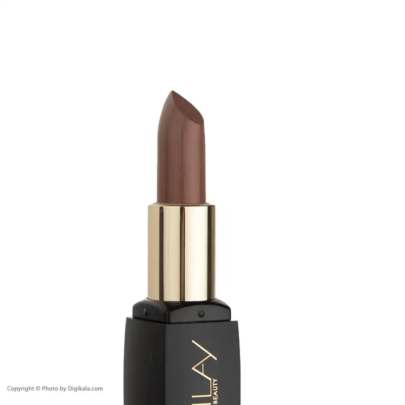 رژ لب جامد این لی مدل Chocolate Bar شماره 450