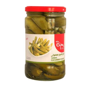 خیارشور معمولی بیژن - 660 گرم