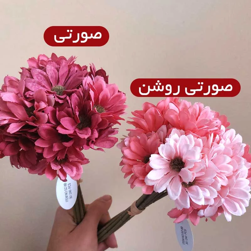 عکس شماره 4