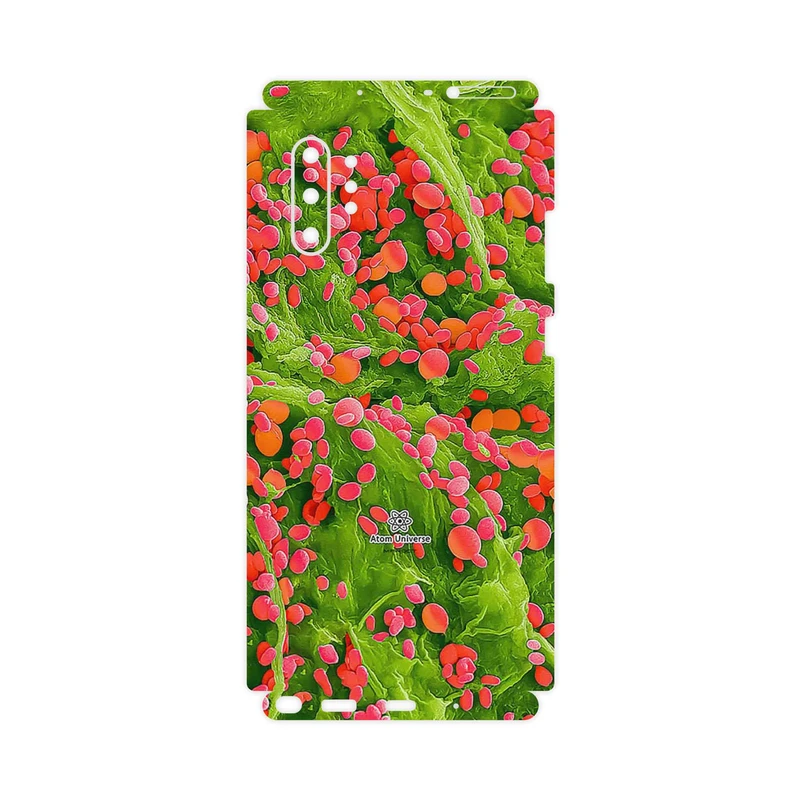 برچسب پوششی ماهوت مدل Atom Universe 3-FullSkin مناسب برای گوشی موبایل سامسونگ Galaxy Note 10 Plus