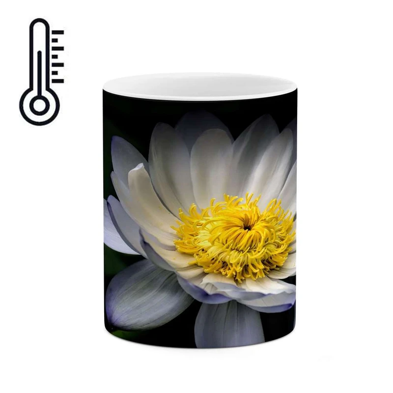 ماگ حرارتی کاکتی مدل گل کد mgh17682