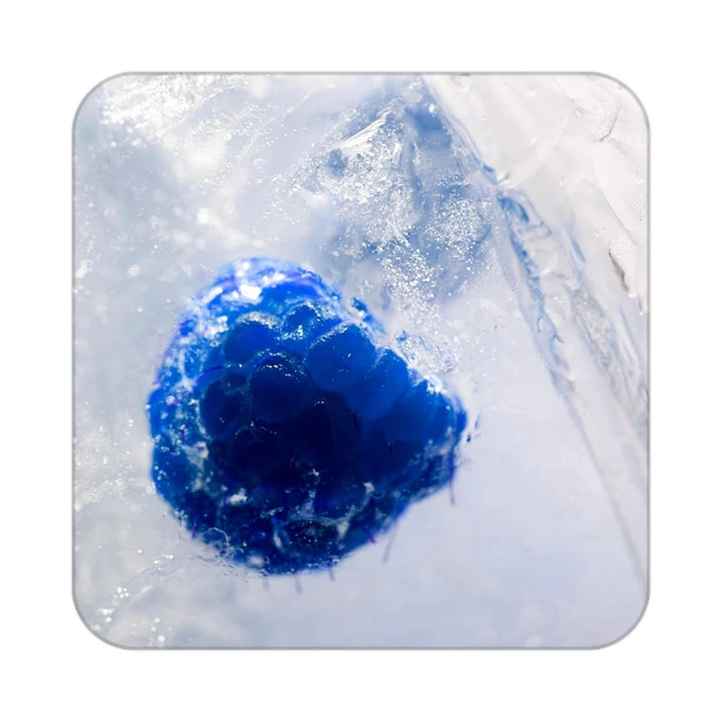 زیر لیوانی کاکتی طرح میوه مدل mp20953