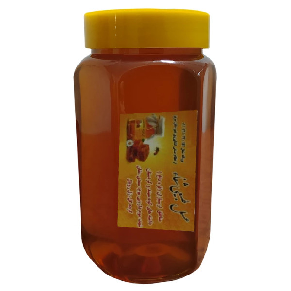 عسل طبیعی جنگلی شفا - 1000 گرم