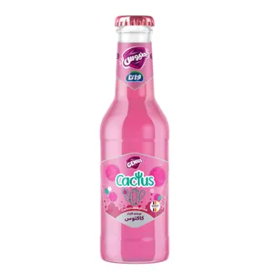 نوشابه گازدار کاکتوس جنیوس - 250 میلی‌لیتر