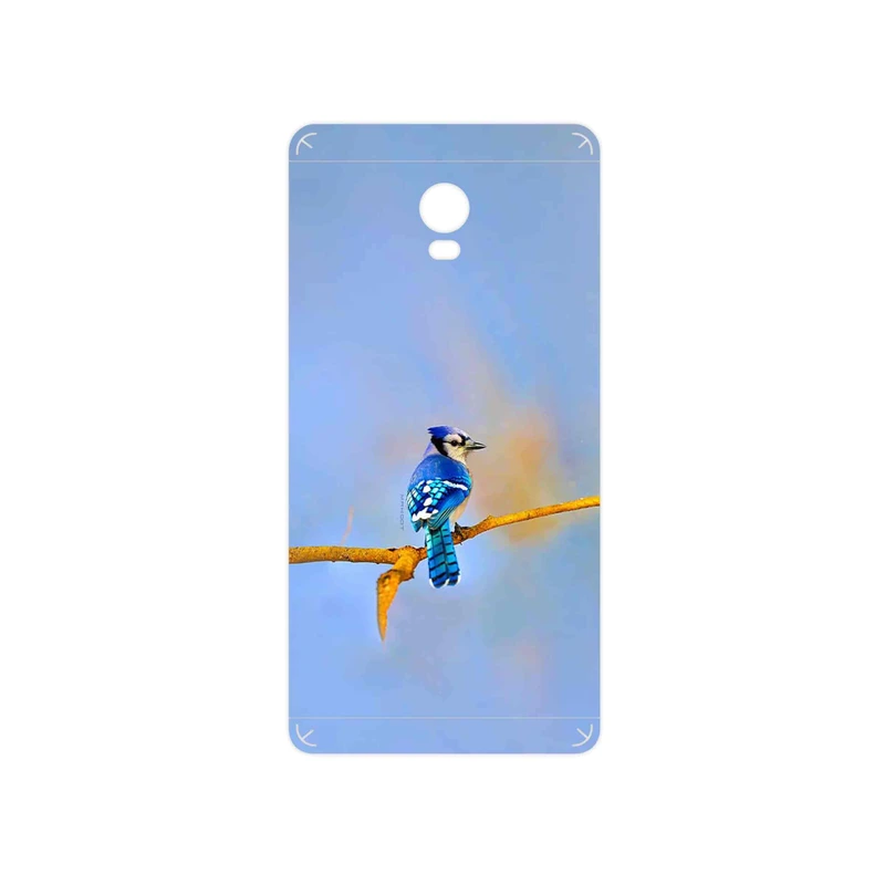 برچسب پوششی ماهوت مدل Cyanocitta cristata مناسب برای گوشی موبایل لنوو Vibe P1