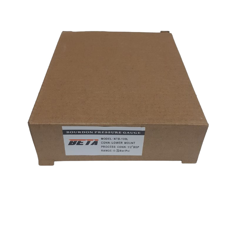 گیج فشار بتا مدل 25bar-10cm