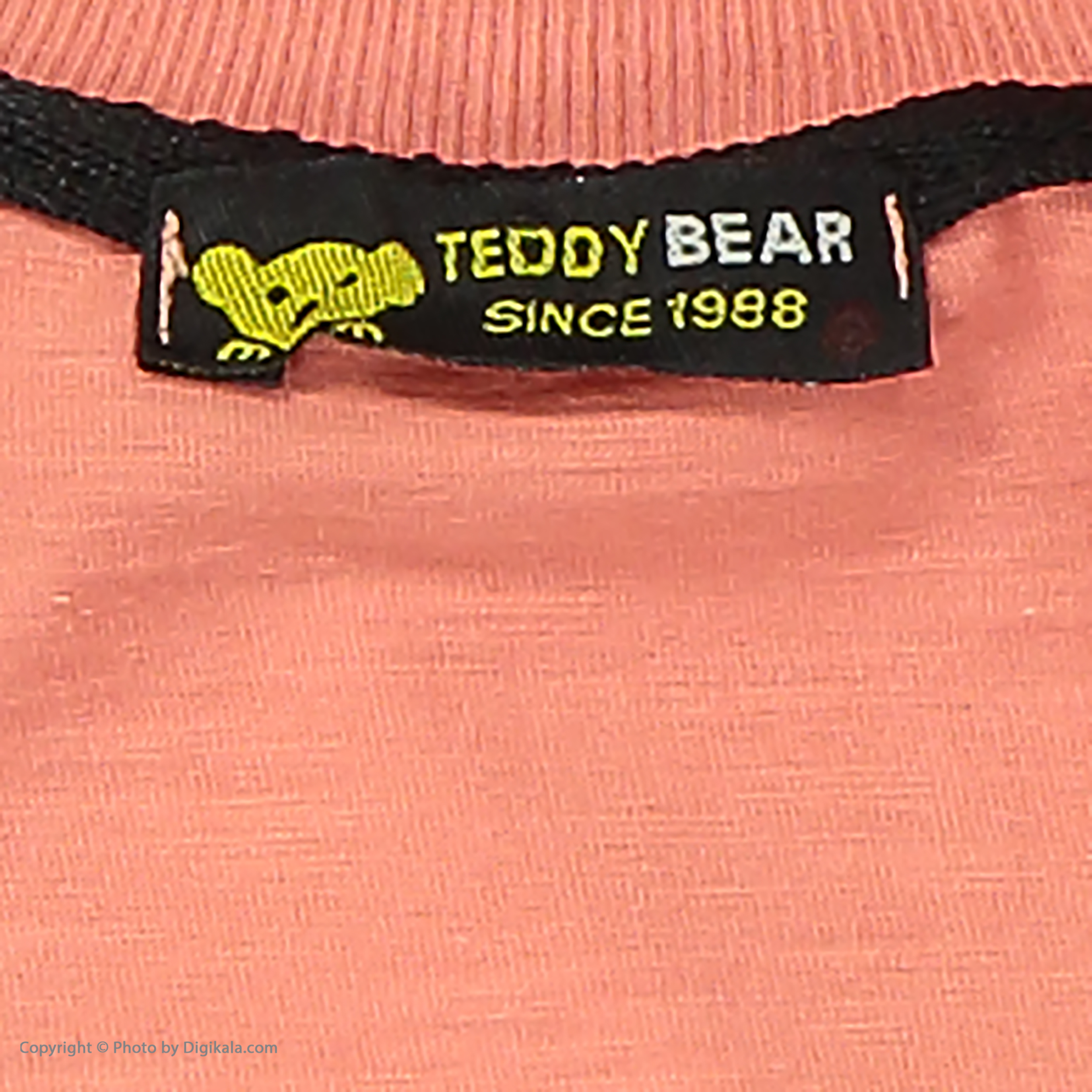 ست تی شرت و شلوارک پسرانه خرس کوچولو مدل 2011189-86 -  - 6