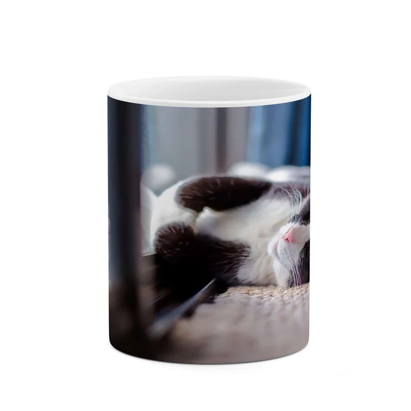 ماگ کاکتی مدل گربه کد mgh14579