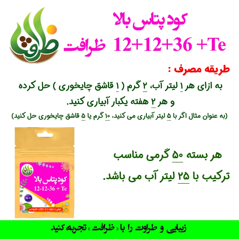 عکس شماره 3