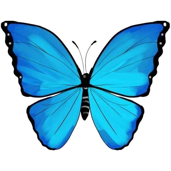 استیکر پارچه و لباس پاد آفرین مدل پروانه کد 487