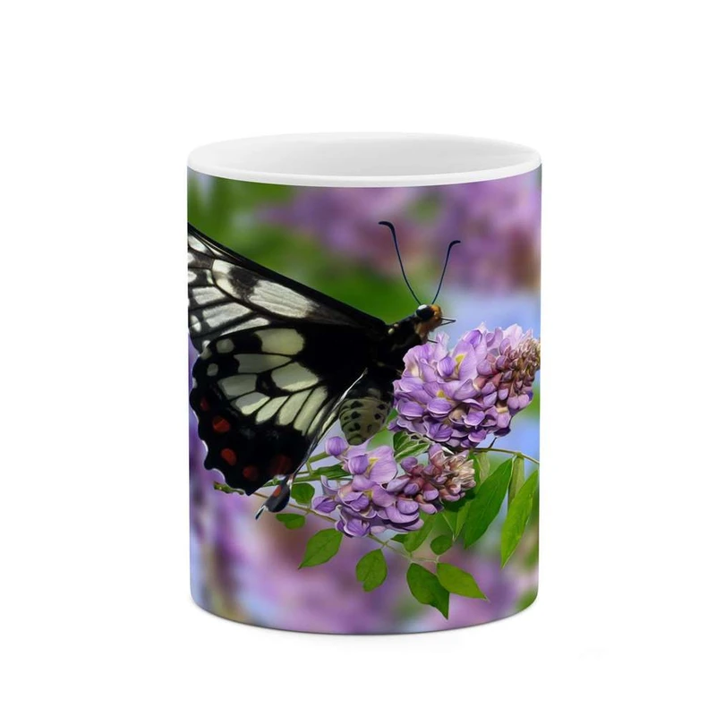 ماگ کاکتی مدل پروانه کد mgh15720