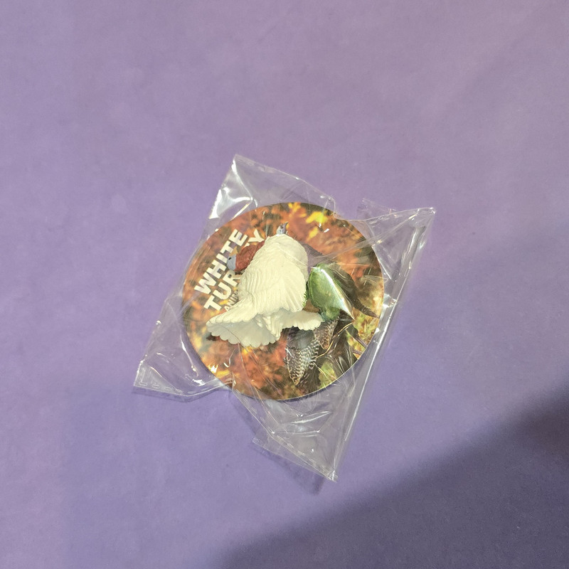 فیگور مدل پرندگان ارتفاع 5 سانتی متر مجموعه 4 عددی