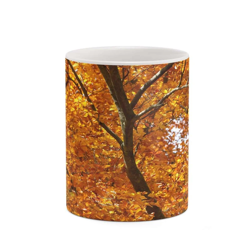 ماگ کاکتی مدل پاییز کد mgh19331