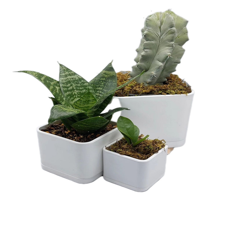 گلدان مدل مکعبی کد 104مجموعه 3 عددی گلدان مدل مکعبی کد 104مجموعه 3 عددی