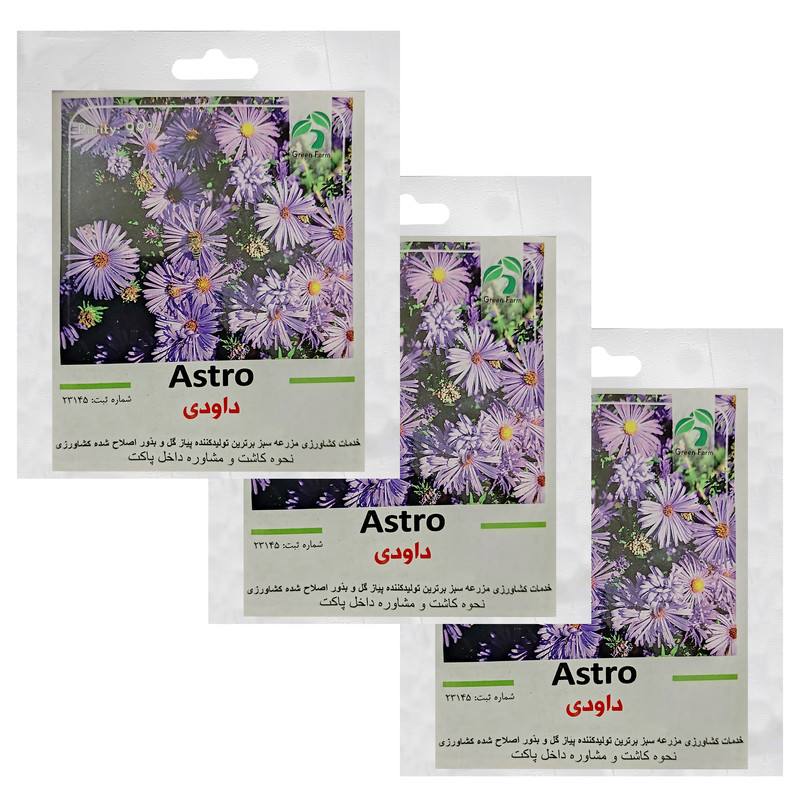 بذر گل داوودی گرین فارم کد GR-DA بسته 3 عددی