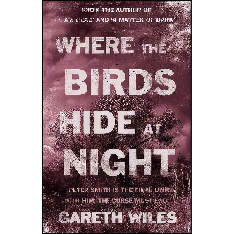 کتاب Where the Birds Hide at Night اثر Gareth Wiles انتشارات Troubador Publishing Ltd