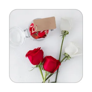 زیر لیوانی کاکتی طرح گل مدل mp18659