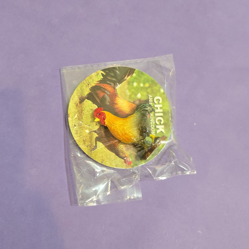 فیگور مدل پرندگان ارتفاع 5 سانتی متر مجموعه 4 عددی