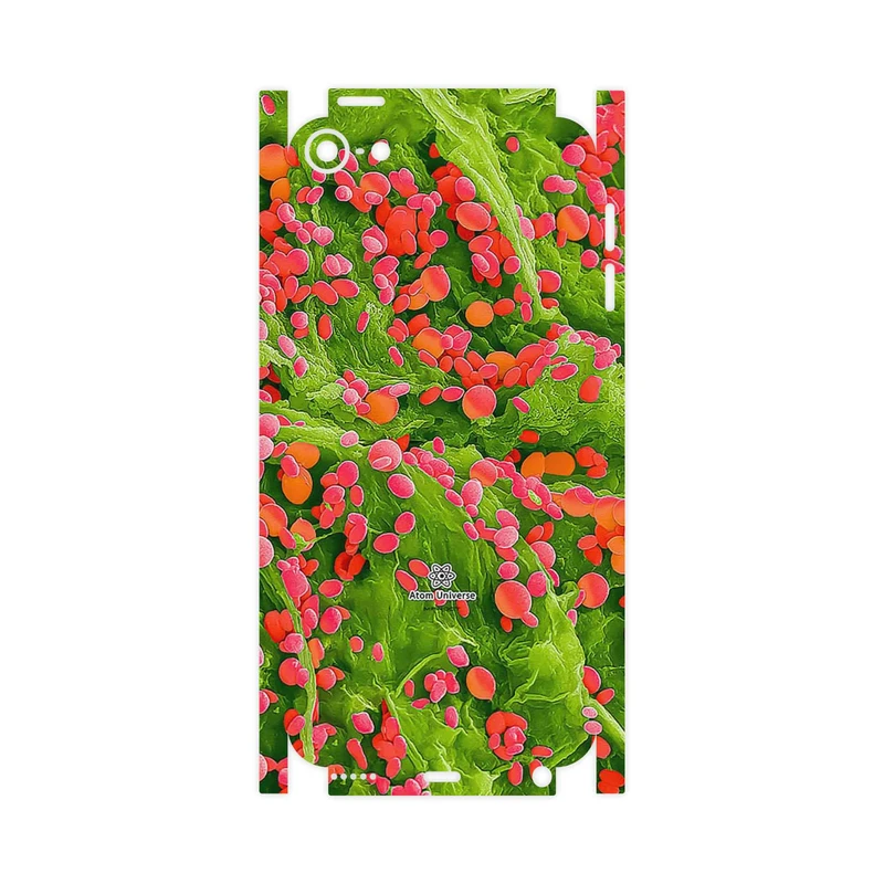 برچسب پوششی ماهوت مدل Atom Universe 3-FullSkin مناسب برای گوشی موبایل اپل iPod touch 6th generation