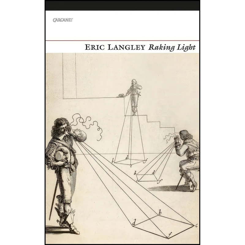 کتاب Raking Light اثر Eric Langley انتشارات Carcanet Press Ltd.