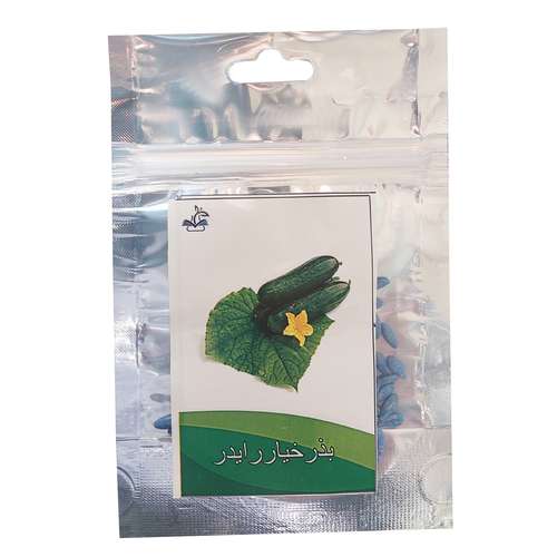 بذر خیار رایدر کد B24