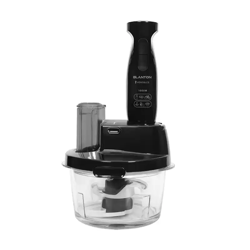غذاساز بلانتون مدل BCX-HB2201