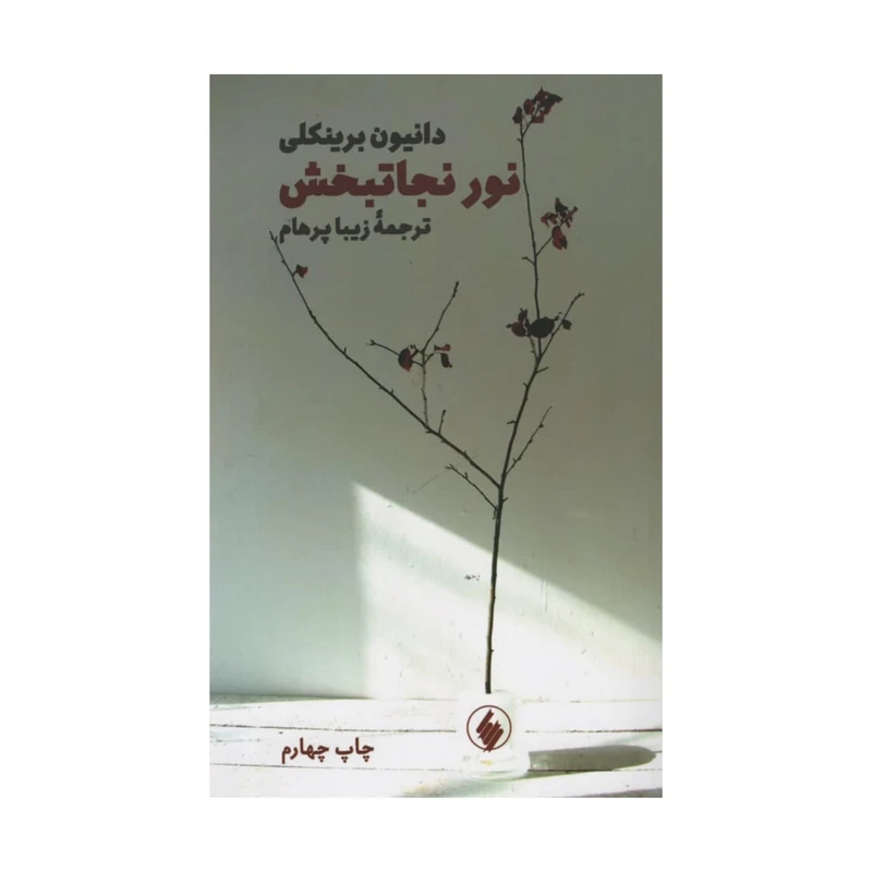 کتاب نور نجاتبخش اثر دانیون برینکلی انتشارات فرزان روز